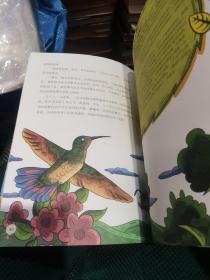 跟随史密斯去历险·鸟类王国历险记