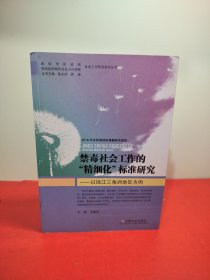 禁毒社会工作的“精细化”标准研究:以珠江三角洲地区为例