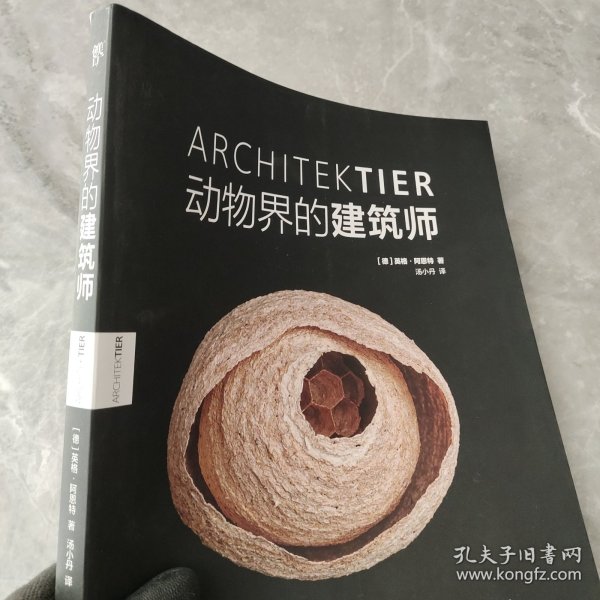 《动物界的建筑师》（世界新闻摄影奖得主英格·阿恩特展示动物的奇妙筑巢艺术）