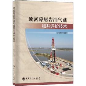 致密碎屑岩油气藏测井评价技术 能源科学 作者 新华正版