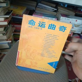 命运曲奇:心灵小说