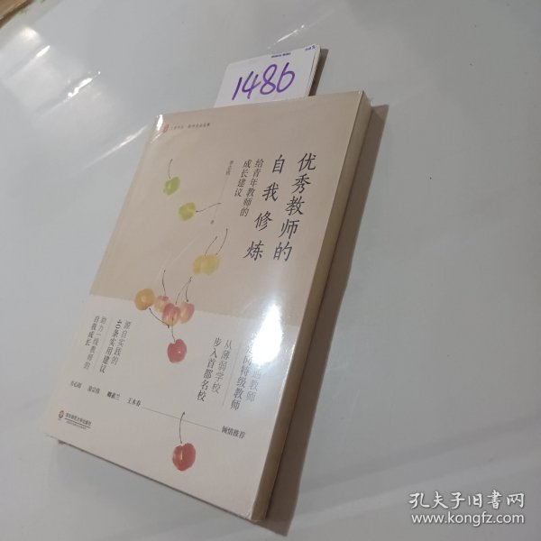 优秀教师的自我修炼：给青年教师的成长建议 大夏书系