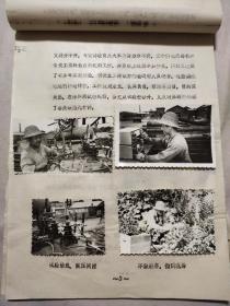 1984年阜新电业局:《配电变压器操作波试验总结报告》(内帖有15张试验资料照片，并盖有 试验单位印章及总工程师等多个印章，具有实用与收藏价值)