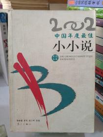 2002中国年度最佳小小说