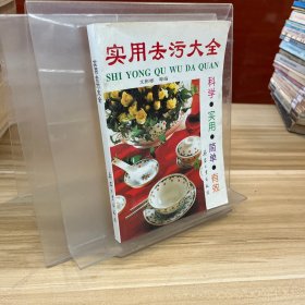 实用去污大全