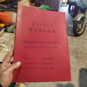 华中师范大学博士论文：日常政治视角下地方权力运作研究—河南省黄市的体验观察与阐释