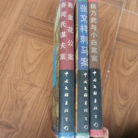 中国古代四大奇案小说一一（刺马详情.张汶祥刺马等）共三册