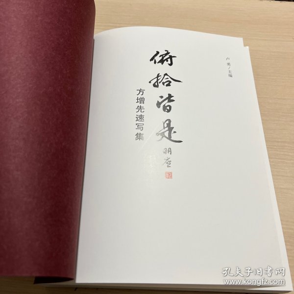 俯拾皆是：方增先速写集（无封面，内页干净）