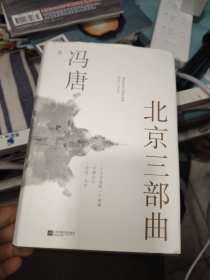 北京三部曲（关于青春独树一帜的文字，2021作家冯唐出道二十周年精装纪念版）