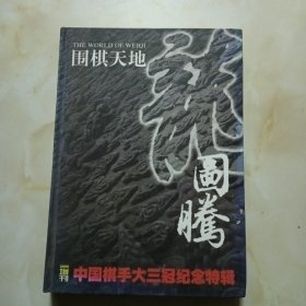 围棋天地2006年增刊