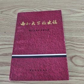 西北大学校史稿