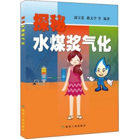 探秘水煤浆气化 9787502073640
