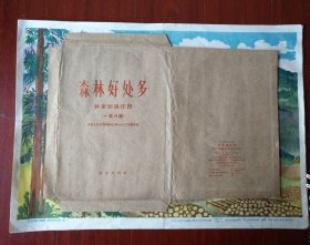 森林好处多。全套8张，带包装袋。中国农业出版社1964年4月初版一印，4开，印数4万册。主要是向社会宣传植树造林，保护森林。