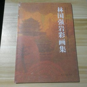 全新塑封 当代艺术名家·创新 林国强岩彩画集 9787539852997