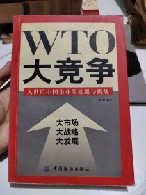 大竞争入世后中国企业的机遇与挑战