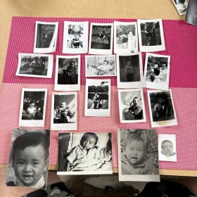我也来野炊吧等19 张