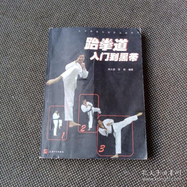 公共体育专业化运动丛书：跆拳道入门到黑带