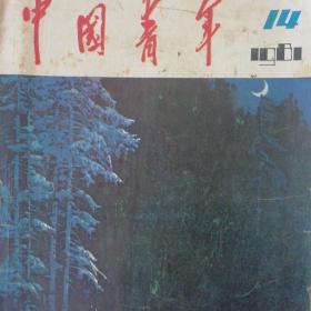 中国青年1981年14期