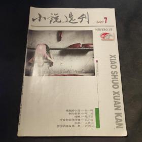 小说选刊