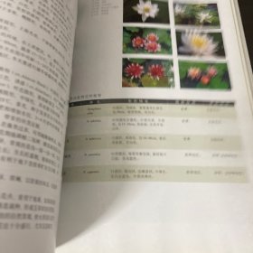 水体植物景观——现代园林植物景观丛书
