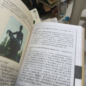 赵朴初佛教常识答问：插图本