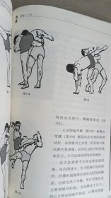 霸拳 亚披勒古法泰拳真传