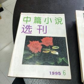 中篇小说选刊    1995年1-6期合售    包快递费