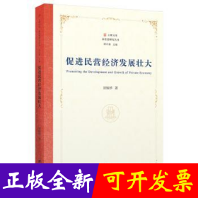 促进民营经济发展壮大