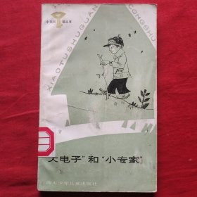 “大电子”和“小专家”