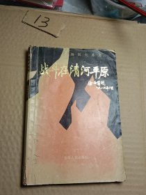 战斗在清河平原