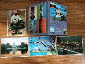 华盛顿明信片 4张 照片质量，84年
