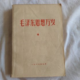 毛泽东思想万岁（1958.7.13-1963.12.14）