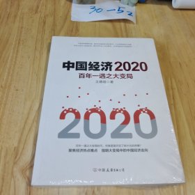 中国经济2020