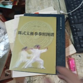 陈式太极拳拳照图谱