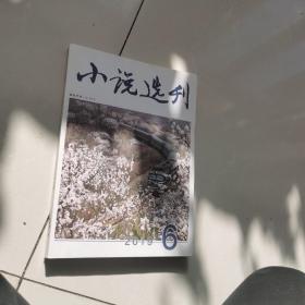 小说选刊2019.6
