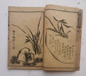 清代名家画梅竹蘭菊《芥子园画傳》二集卷八、卷九，梅蘭竹菊四都分（完整），青在堂菊谱;下册，画菊、花卉方面画谱：春飘风外、色染新霜、名分太液、秋耀金华、三色凌秋、小色织蕊、黄华朱實、黄蕊星罗、衰容增艳等19幅历史名家画菊、著名诗人作诗合作（洋见目录），非常珍贵，《芥子园画传》自问世以来，备受时人赞赏。《芥子园画传:花鸟》成为世人学画的必修之书，中国传统绘画的经典课本。19幅名家画梅菌竹菊非常少见。