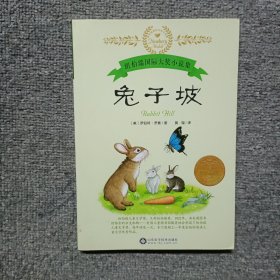 常春藤国际小说系列 兔子坡