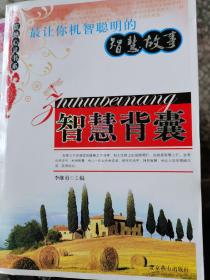 最让你机智聪明的智慧故事