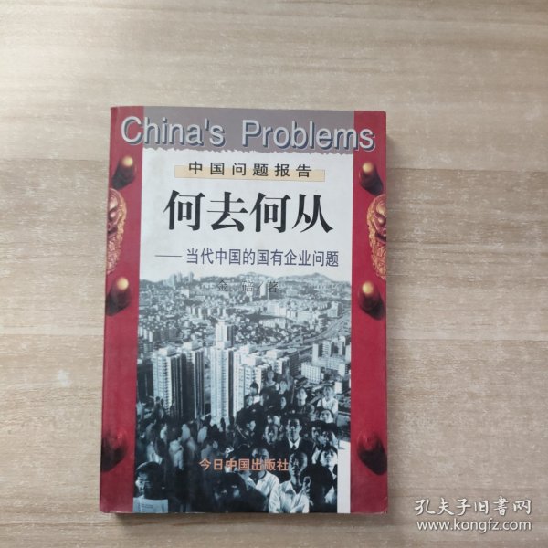 何去何从：当代中国的国有企业问题