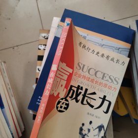 赢在成长力：企业持续成长的原动力