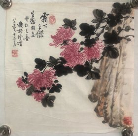 印尼归侨画家、厦门集美学者、画家南通人孙瘦梧绘菊石（作品保真，34*34）名录南通史话(5)