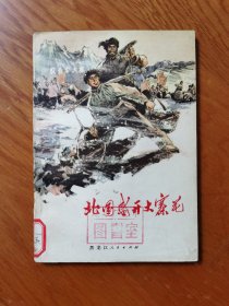 北国盛开大寨花