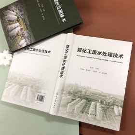 煤化工废水处理技术(精) 普通图书/工程技术 杨林  主编  马宝岐、秦志伟、王柱祥  等 副主编 化学工业出版社 9787410986