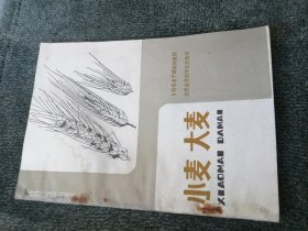 小麦大麦