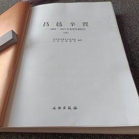 昌邑辛置----2010-2013年墓葬发掘报告（四）