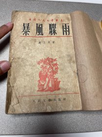 暴风骤雨 上