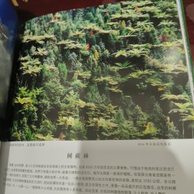 绿色神州 : 中国森林与奇树摄影集