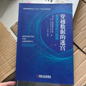 穿越数据的迷宫：数据管理执行指南