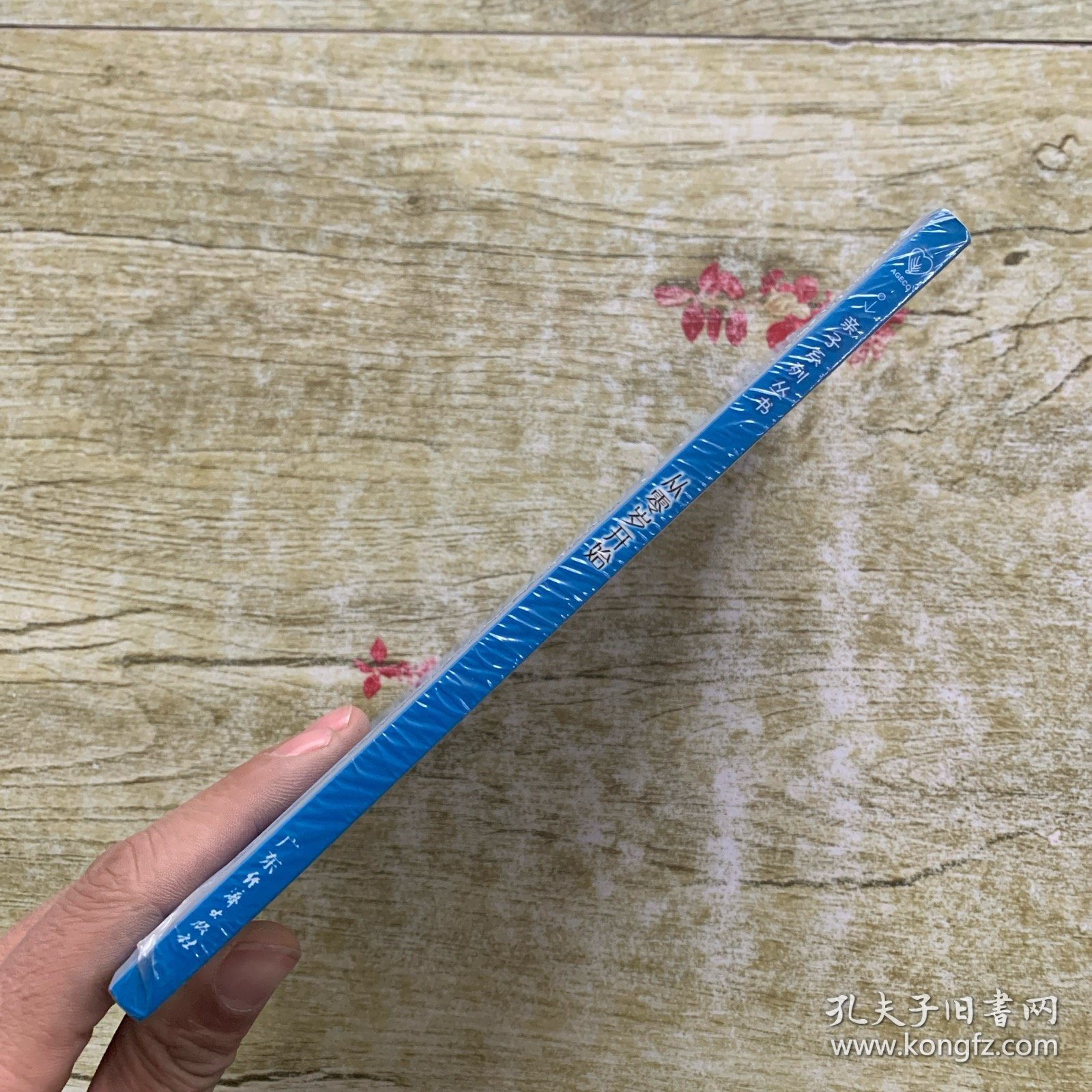 从0岁开始：亲子系列丛书