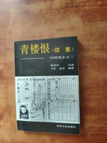青楼恨（续集）